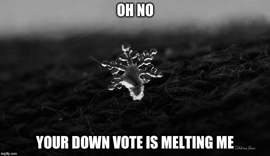 OH NO; YOUR DOWN VOTE IS MELTING ME | image tagged in memes,snowflakes | made w/ Imgflip meme maker