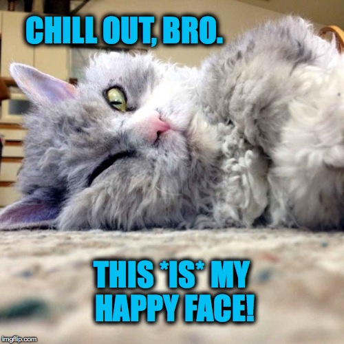 Pompous Albert Reassurance | CHILL OUT, BRO. THIS *IS* MY HAPPY FACE! | image tagged in had a good nap | made w/ Imgflip meme maker