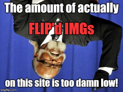 Lately I'be been taking things extremely literally | The amount of actually; FLIP'd IMGs; on this site is too damn low! | image tagged in memes,too damn high | made w/ Imgflip meme maker