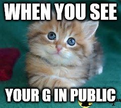 G | WHEN YOU SEE; YOUR G IN PUBLIC | image tagged in cat | made w/ Imgflip meme maker