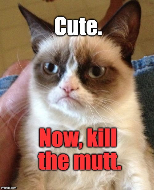 Grumpy Cat Meme | Cute. Now, kill the mutt. | image tagged in memes,grumpy cat | made w/ Imgflip meme maker