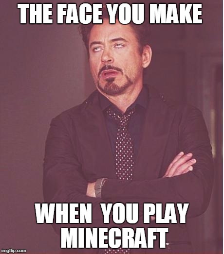 Face You Make Robert Downey Jr | THE FACE YOU MAKE; WHEN  YOU PLAY  MINECRAFT | image tagged in memes,face you make robert downey jr | made w/ Imgflip meme maker