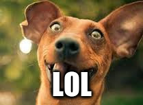 LOL | made w/ Imgflip meme maker