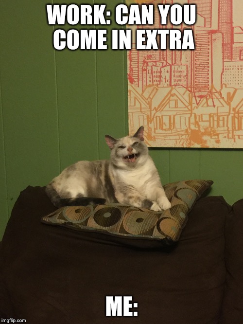 WORK: CAN YOU COME IN EXTRA; ME: | image tagged in work,cats | made w/ Imgflip meme maker