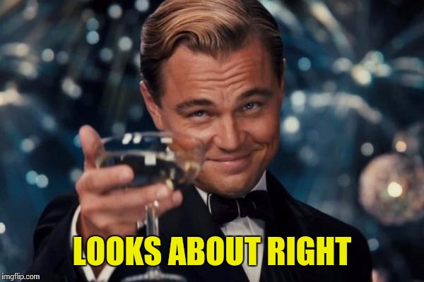 Leonardo Dicaprio Cheers Meme | LOOKS ABOUT RIGHT | image tagged in memes,leonardo dicaprio cheers | made w/ Imgflip meme maker