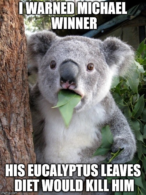 Surprised Koala Meme | I WARNED MICHAEL WINNER; HIS EUCALYPTUS LEAVES DIET WOULD KILL HIM | image tagged in memes,surprised coala | made w/ Imgflip meme maker