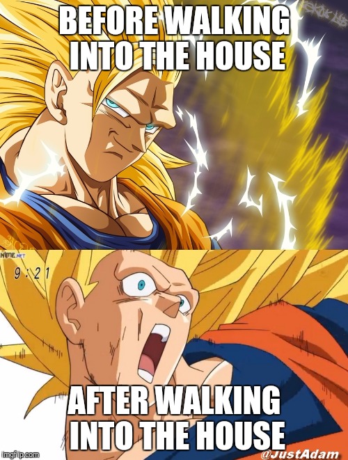 dragon ball super | BEFORE WALKING INTO THE HOUSE; AFTER WALKING INTO THE HOUSE | image tagged in dragon ball super | made w/ Imgflip meme maker