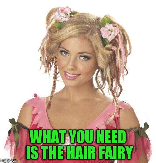 WHAT YOU NEED IS THE HAIR FAIRY | made w/ Imgflip meme maker