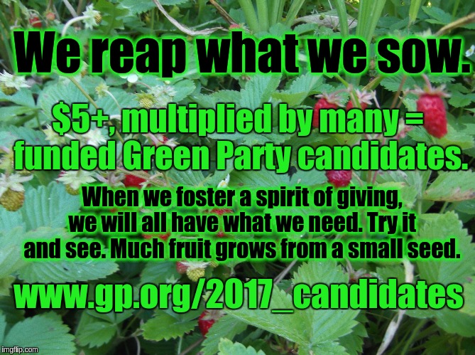 Green Party Wins | We reap what we sow. $5+, multiplied by many = funded Green Party candidates. When we foster a spirit of giving, we will all have what we need. Try it and see. Much fruit grows from a small seed. www.gp.org/2017_candidates | image tagged in green party,environment | made w/ Imgflip meme maker