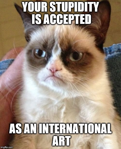 Grumpy Cat Meme | YOUR STUPIDITY IS ACCEPTED; AS AN INTERNATIONAL ART | image tagged in memes,grumpy cat | made w/ Imgflip meme maker