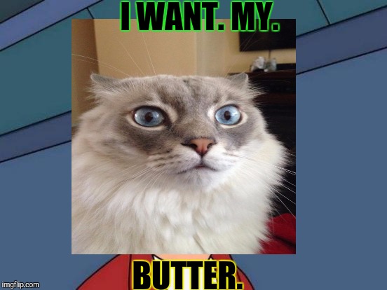 I WANT. MY. BUTTER. | made w/ Imgflip meme maker