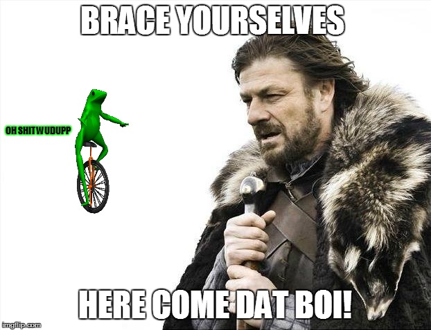 Brace Yourselves X is Coming | BRACE YOURSELVES; OH SHIT WUDUPP; HERE COME DAT BOI! | image tagged in memes,brace yourselves x is coming | made w/ Imgflip meme maker