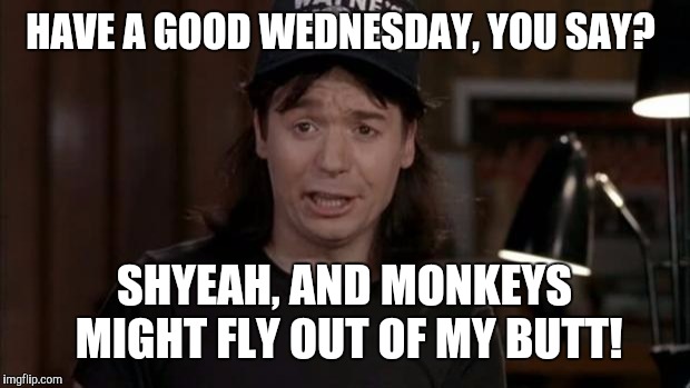 Wayne's World Discovery | HAVE A GOOD WEDNESDAY, YOU SAY? SHYEAH, AND MONKEYS MIGHT FLY OUT OF MY BUTT! | image tagged in wayne's world discovery | made w/ Imgflip meme maker