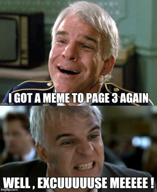 Then it dropped like a stone | image tagged in steve martin,alt using trolls,it's raining downvotes,thanks,again | made w/ Imgflip meme maker