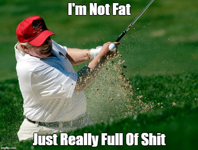 Trump: "I'm Not Fat!" | I'm Not Fat; Just Really Full Of Shit | image tagged in deplorable donald,despicable donald,devious donald,despotic donald,dishonorable donald,mafia don | made w/ Imgflip meme maker