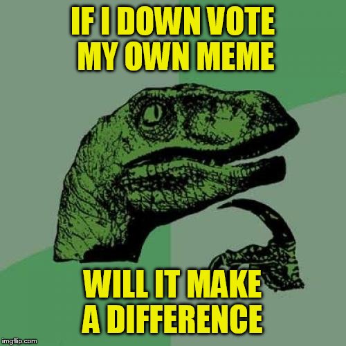 Philosoraptor Meme | IF I DOWN VOTE MY OWN MEME; WILL IT MAKE A DIFFERENCE | image tagged in memes,philosoraptor | made w/ Imgflip meme maker