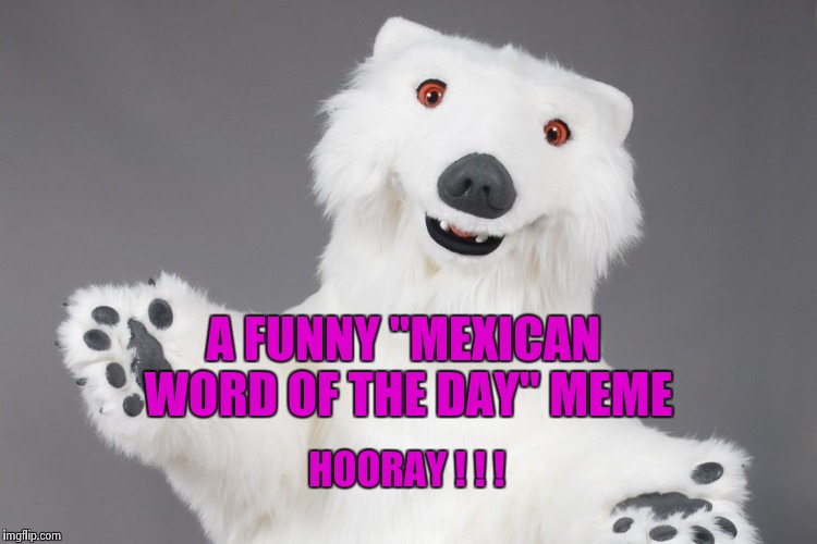 Polar Bear | HOORAY ! ! ! A FUNNY "MEXICAN WORD OF THE DAY" MEME | image tagged in polar bear | made w/ Imgflip meme maker