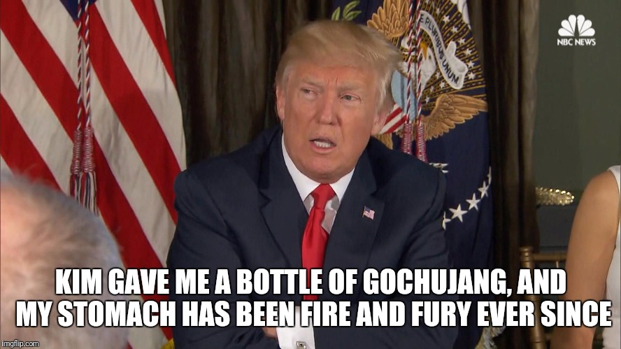 Fire&Fury | KIM GAVE ME A BOTTLE OF GOCHUJANG, AND MY STOMACH HAS BEEN FIRE AND FURY EVER SINCE | image tagged in trump,comedy,memes | made w/ Imgflip meme maker