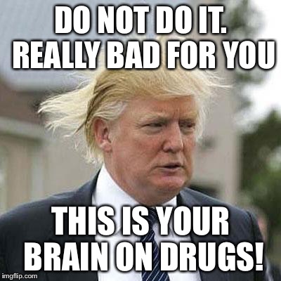 Donald Trump | DO NOT DO IT. REALLY BAD FOR YOU; THIS IS YOUR BRAIN ON DRUGS! | image tagged in donald trump | made w/ Imgflip meme maker