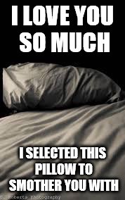 Pillow | I LOVE YOU SO MUCH; I SELECTED THIS PILLOW TO SMOTHER YOU WITH | image tagged in pillow | made w/ Imgflip meme maker