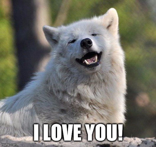 supersecretwolf | I LOVE YOU! | image tagged in supersecretwolf | made w/ Imgflip meme maker