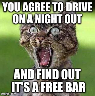 Shocked Cat | YOU AGREE TO DRIVE ON A NIGHT OUT; AND FIND OUT IT'S A FREE BAR | image tagged in shocked cat | made w/ Imgflip meme maker