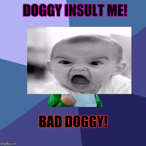 Success Kid Meme | DOGGY INSULT ME! BAD DOGGY! | image tagged in memes,success kid | made w/ Imgflip meme maker