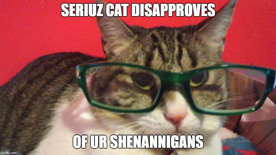 seriuz cat | SERIUZ CAT DISAPPROVES; OF UR SHENANNIGANS | image tagged in serious,cat | made w/ Imgflip meme maker