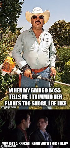 Gringo boss | image tagged in memes,gringo,boss,bad boss,mexican,you got a special bond with this bush | made w/ Imgflip meme maker