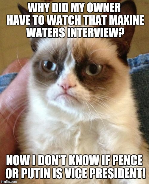 Grumpy Cat Meme | WHY DID MY OWNER HAVE TO WATCH THAT MAXINE WATERS INTERVIEW? NOW I DON'T KNOW IF PENCE OR PUTIN IS VICE PRESIDENT! | image tagged in memes,grumpy cat | made w/ Imgflip meme maker
