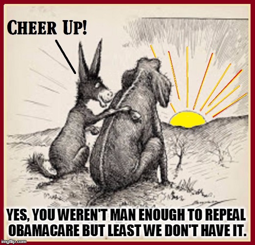 The Repeal of Obamacare... NOT | YES, YOU WEREN'T MAN ENOUGH TO REPEAL OBAMACARE BUT LEAST WE DON'T HAVE IT. | image tagged in vince vance,donkey,elephant,donkey consoling elephant,democrats and republicans,obamacare | made w/ Imgflip meme maker