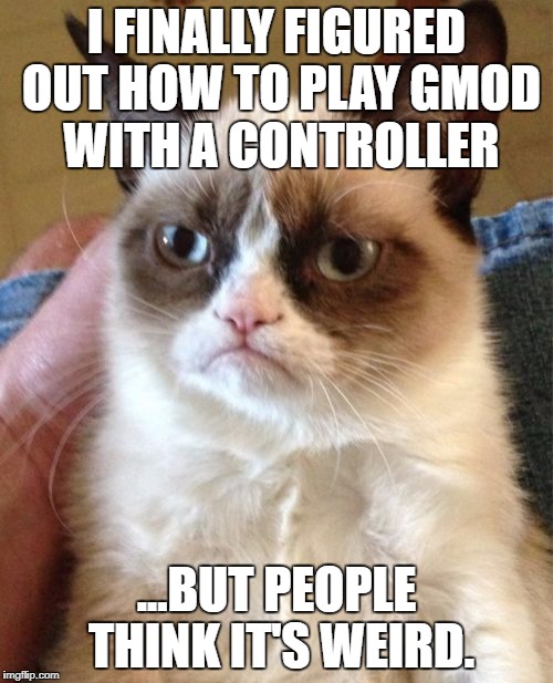 Grumpy Cat Meme | I FINALLY FIGURED OUT HOW TO PLAY GMOD WITH A CONTROLLER; ...BUT PEOPLE THINK IT'S WEIRD. | image tagged in memes,grumpy cat | made w/ Imgflip meme maker