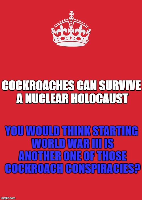 Keep Calm And Carry On Red Meme | COCKROACHES CAN SURVIVE A NUCLEAR HOLOCAUST; YOU WOULD THINK STARTING WORLD WAR III IS ANOTHER ONE OF THOSE COCKROACH CONSPIRACIES? | image tagged in memes,keep calm and carry on red | made w/ Imgflip meme maker