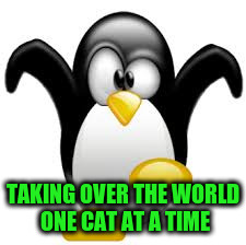 TAKING OVER THE WORLD ONE CAT AT A TIME | made w/ Imgflip meme maker