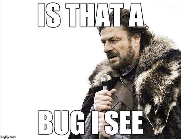 Brace Yourselves X is Coming | IS THAT A; BUG I SEE | image tagged in memes,brace yourselves x is coming | made w/ Imgflip meme maker