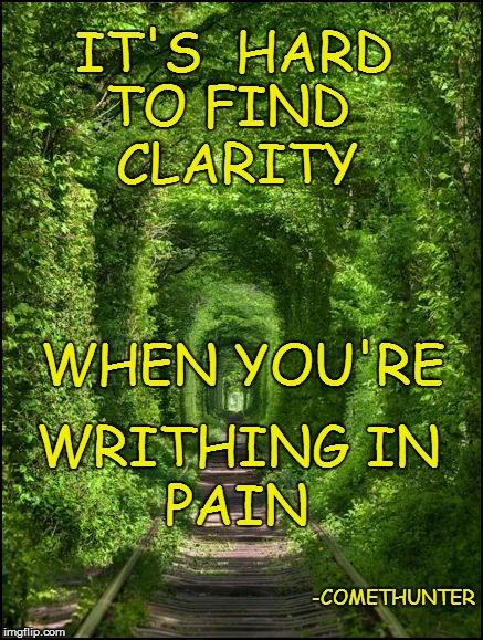 IT'S  HARD WRITHING IN TO FIND WHEN YOU'RE CLARITY PAIN -COMETHUNTER | made w/ Imgflip meme maker