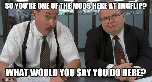 The Bobs | SO YOU'RE ONE OF THE MODS HERE AT IMGFLIP? WHAT WOULD YOU SAY YOU DO HERE? | image tagged in memes,the bobs | made w/ Imgflip meme maker