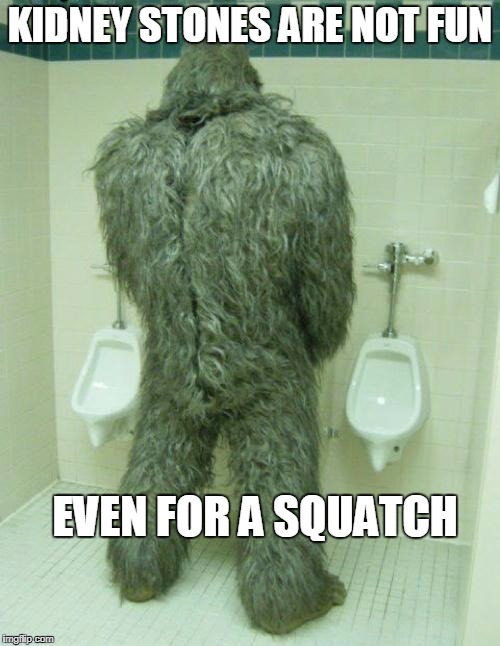 Bigfoot | KIDNEY STONES ARE NOT FUN; EVEN FOR A SQUATCH | image tagged in bigfoot | made w/ Imgflip meme maker