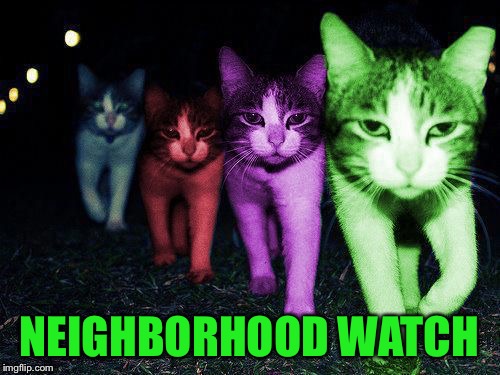 Wrong Neighborhood RayCats | NEIGHBORHOOD WATCH | image tagged in wrong neighborhood raycats | made w/ Imgflip meme maker