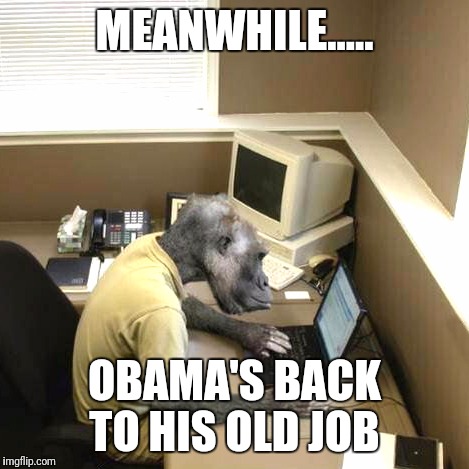 Monkey Business | MEANWHILE..... OBAMA'S BACK TO HIS OLD JOB | image tagged in memes,monkey business | made w/ Imgflip meme maker