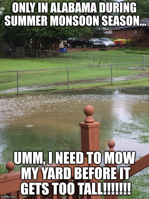 Mow during Monsoon | ONLY IN ALABAMA DURING SUMMER MONSOON SEASON... UMM, I NEED TO MOW MY YARD BEFORE IT GETS TOO TALL!!!!!!! | image tagged in mowing | made w/ Imgflip meme maker