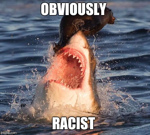 Travelonshark | OBVIOUSLY; RACIST | image tagged in memes,travelonshark | made w/ Imgflip meme maker