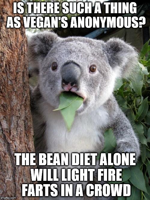 Surprised Koala | IS THERE SUCH A THING AS VEGAN'S ANONYMOUS? THE BEAN DIET ALONE WILL LIGHT FIRE FARTS IN A CROWD | image tagged in memes,surprised koala | made w/ Imgflip meme maker