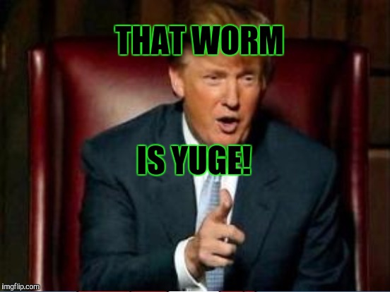 THAT WORM IS YUGE! | made w/ Imgflip meme maker