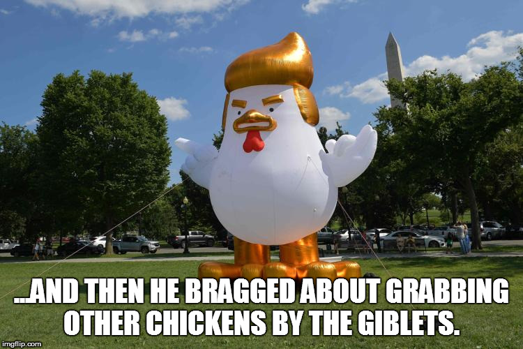 ...AND THEN HE BRAGGED ABOUT GRABBING OTHER CHICKENS BY THE GIBLETS. | image tagged in trump | made w/ Imgflip meme maker