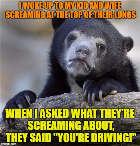 Confession Bear Meme |  I WOKE UP TO MY KID AND WIFE SCREAMING AT THE TOP OF THEIR LUNGS; WHEN I ASKED WHAT THEY'RE SCREAMING ABOUT, THEY SAID "YOU'RE DRIVING!" | image tagged in memes,confession bear | made w/ Imgflip meme maker