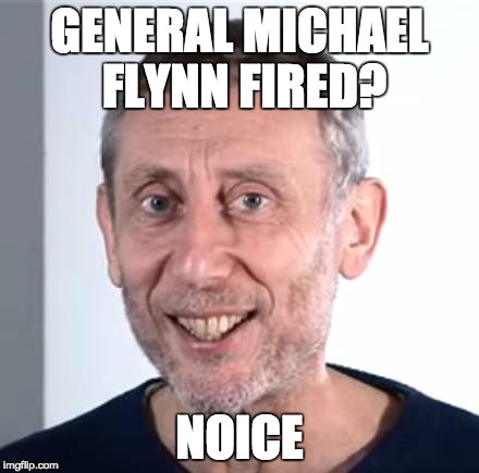 nice Michael Rosen | GENERAL MICHAEL FLYNN FIRED? NOICE | image tagged in nice michael rosen | made w/ Imgflip meme maker