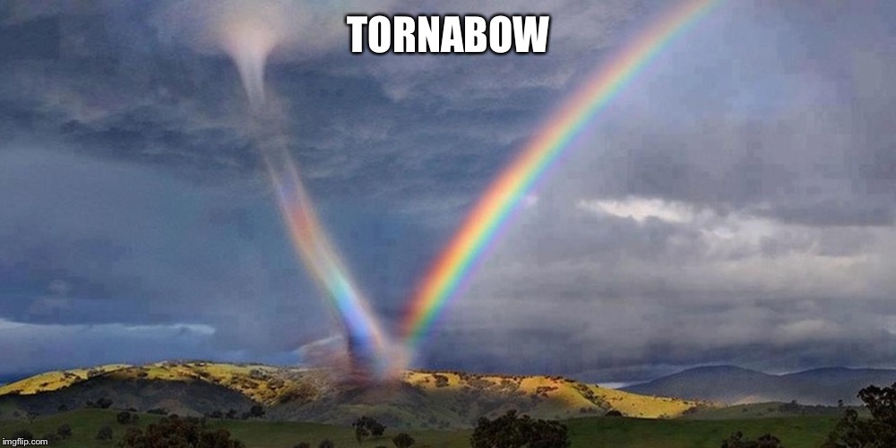 TORNABOW | made w/ Imgflip meme maker