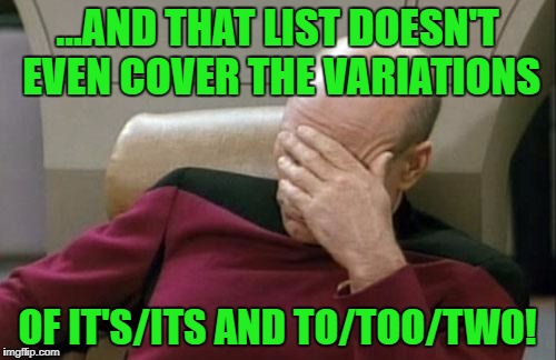 Captain Picard Facepalm Meme | ...AND THAT LIST DOESN'T EVEN COVER THE VARIATIONS OF IT'S/ITS AND TO/TOO/TWO! | image tagged in memes,captain picard facepalm | made w/ Imgflip meme maker