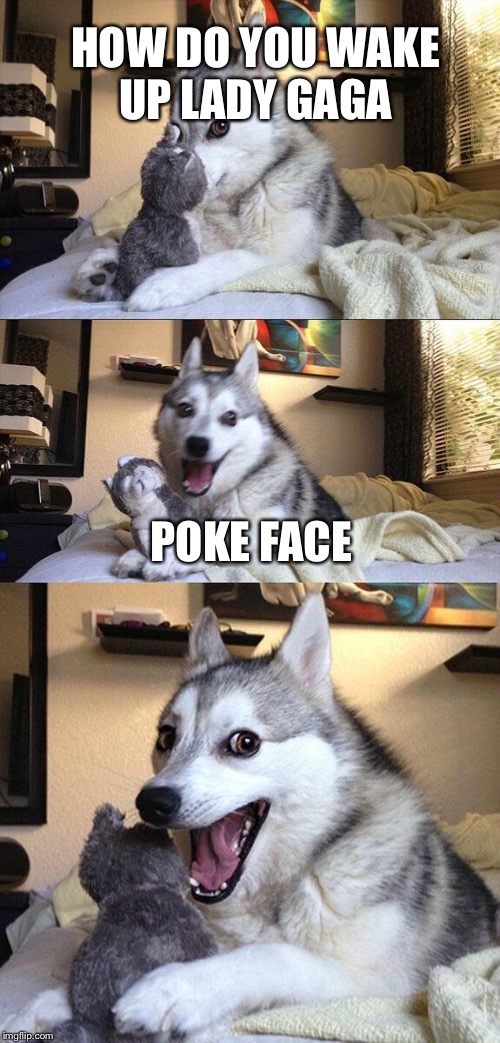 Bad Pun Dog Meme | HOW DO YOU WAKE UP LADY GAGA; POKE FACE | image tagged in memes,bad pun dog | made w/ Imgflip meme maker